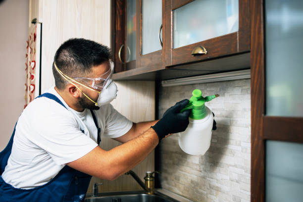 Best Pest Prevention Services  in North Patchogue, NY