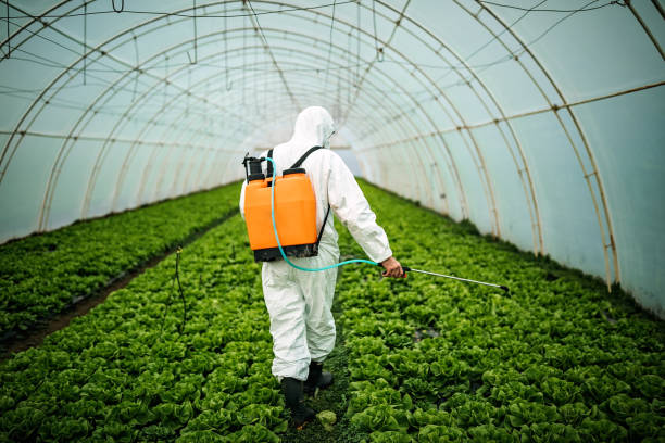 Best Best Pest Control Companies  in North Patchogue, NY