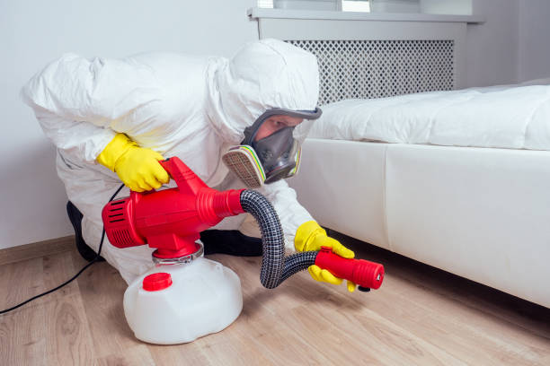 Best Bed Bug Extermination  in North Patchogue, NY